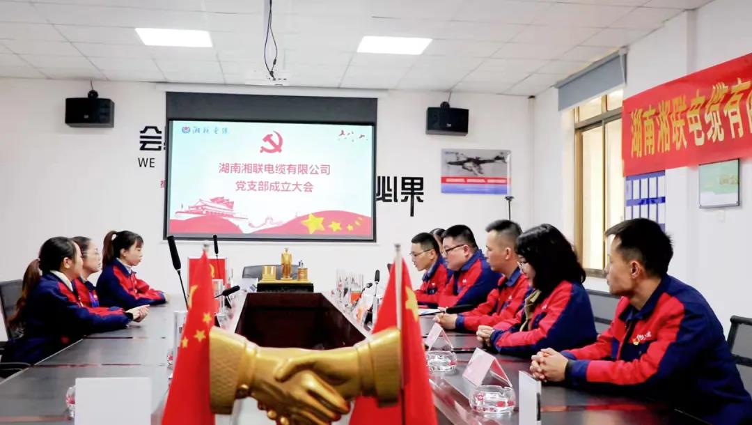 新征程 | 熱烈祝賀湖南湘聯(lián)電纜有限公司黨支部正式成立！